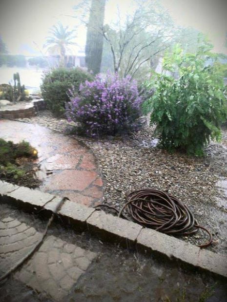 Monsoon 2013